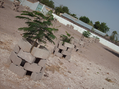 セネガルに行く！予防接種は早めに準備すべきだった･･･